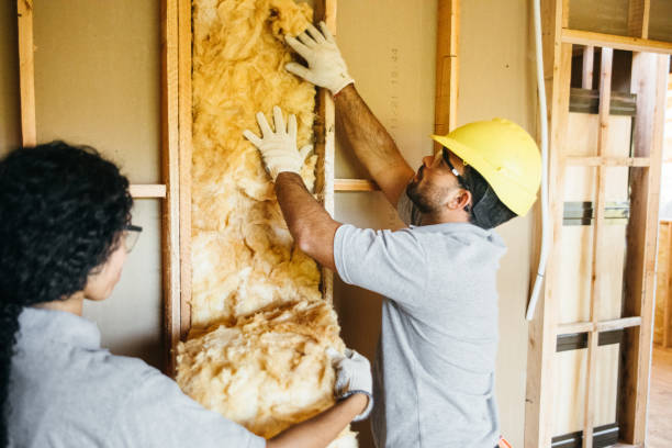 Best Professional Insulation Contractor  in USA